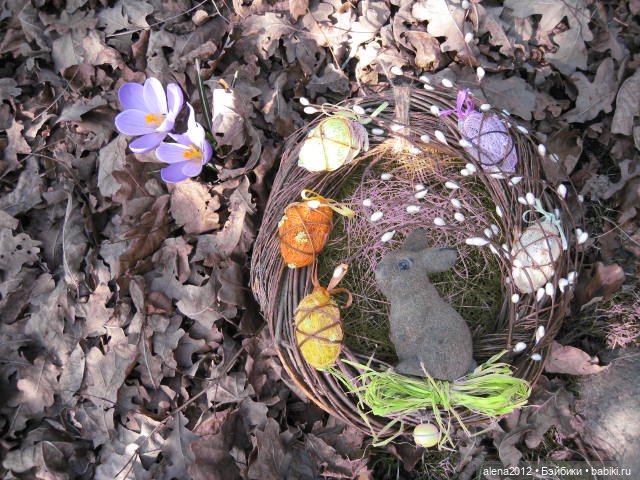 Цветотерапия, или как пережить изоляцию (фото 5)