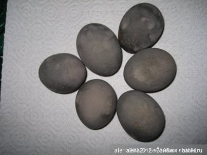 Цветотерапия, или как пережить изоляцию