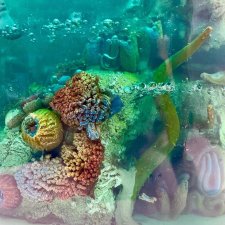 Тортики? Их, правда, едят? Правда