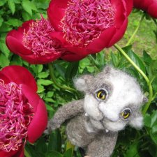 Кто-кто это живёт в саду?