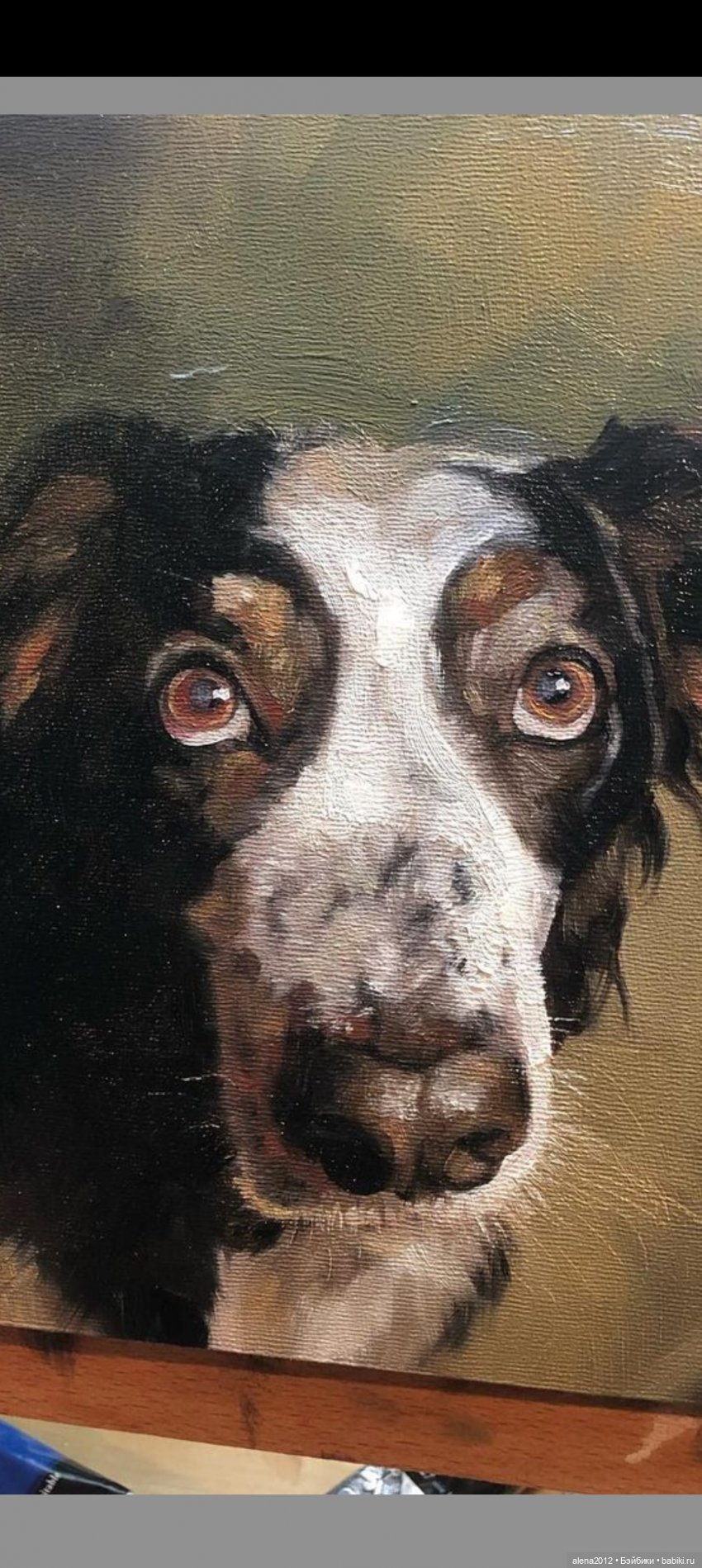 Потрясающие звери c говорящими глазами на картинах Alina Shriver (фото 4)