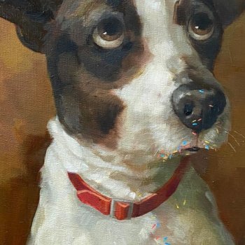 Потрясающие звери c говорящими глазами на картинах  Alina Shriver