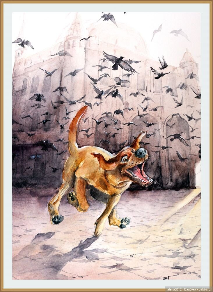 Город собак, где живут добро, радость и немного грусти