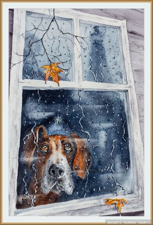 Город собак, где живут добро, радость и немного грусти