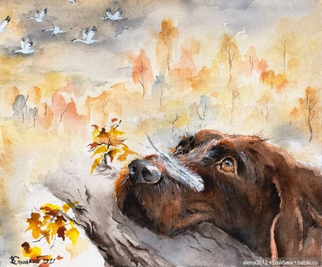 Город собак, где живут добро, радость и немного грусти