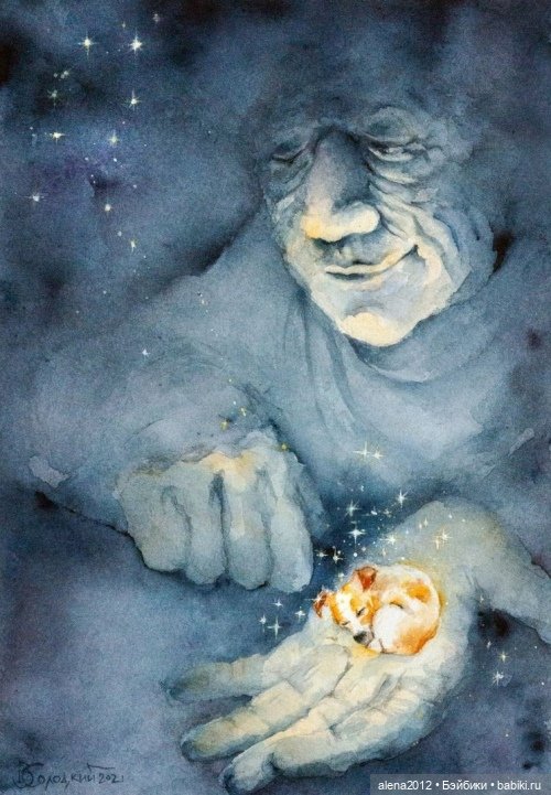 Город собак, где живут добро, радость и немного грусти