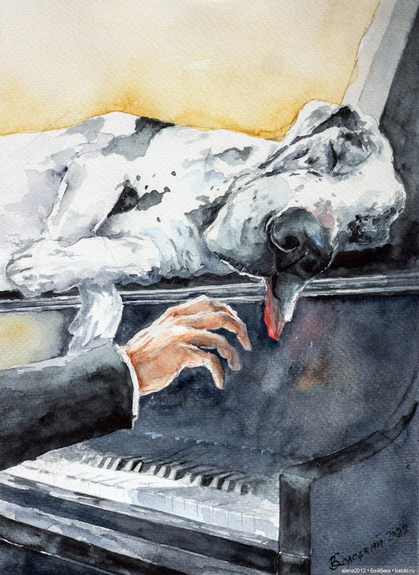 Город собак, где живут добро, радость и немного грусти (фото 7)