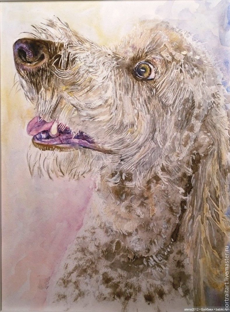 Город собак, где живут добро, радость и немного грусти (фото 8)