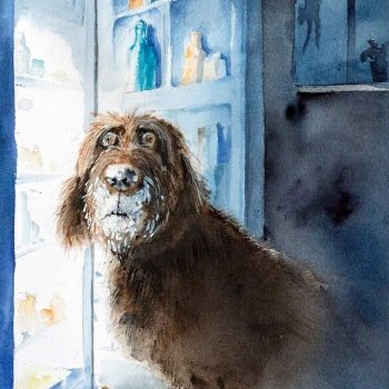 Город собак, где живут добро, радость и немного грусти