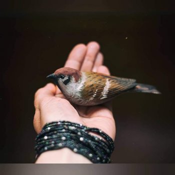 Распахни свою душу птахе на ладони
