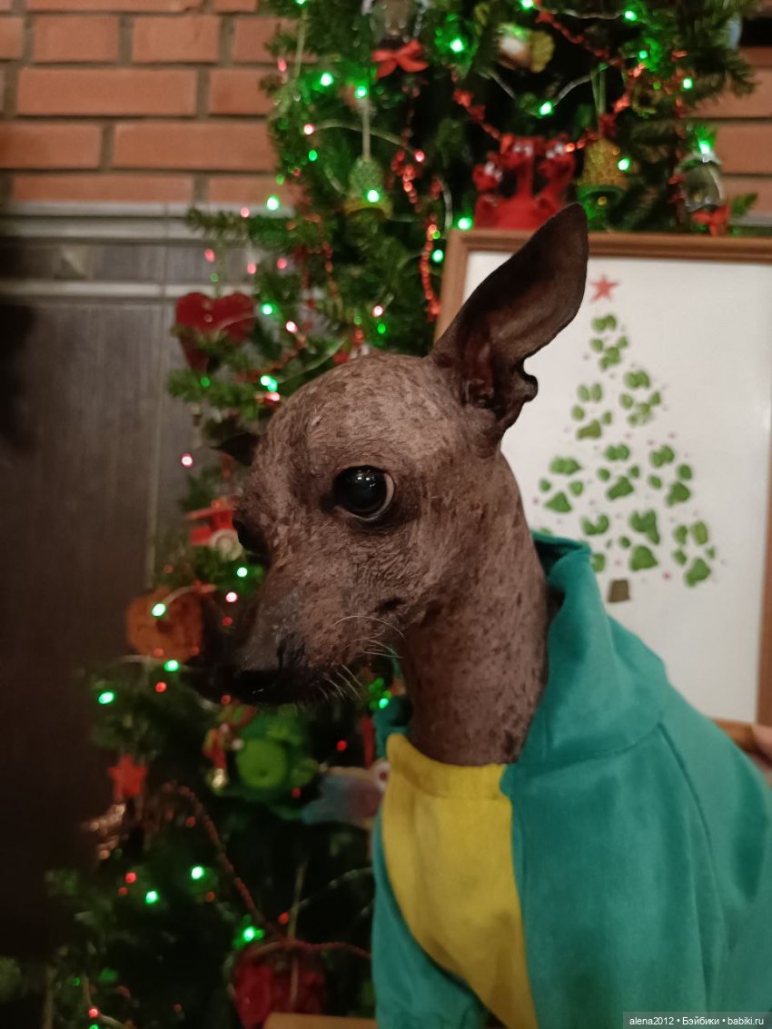 Ёлка 2023, а сколько можно держать праздник в доме (фото 6)