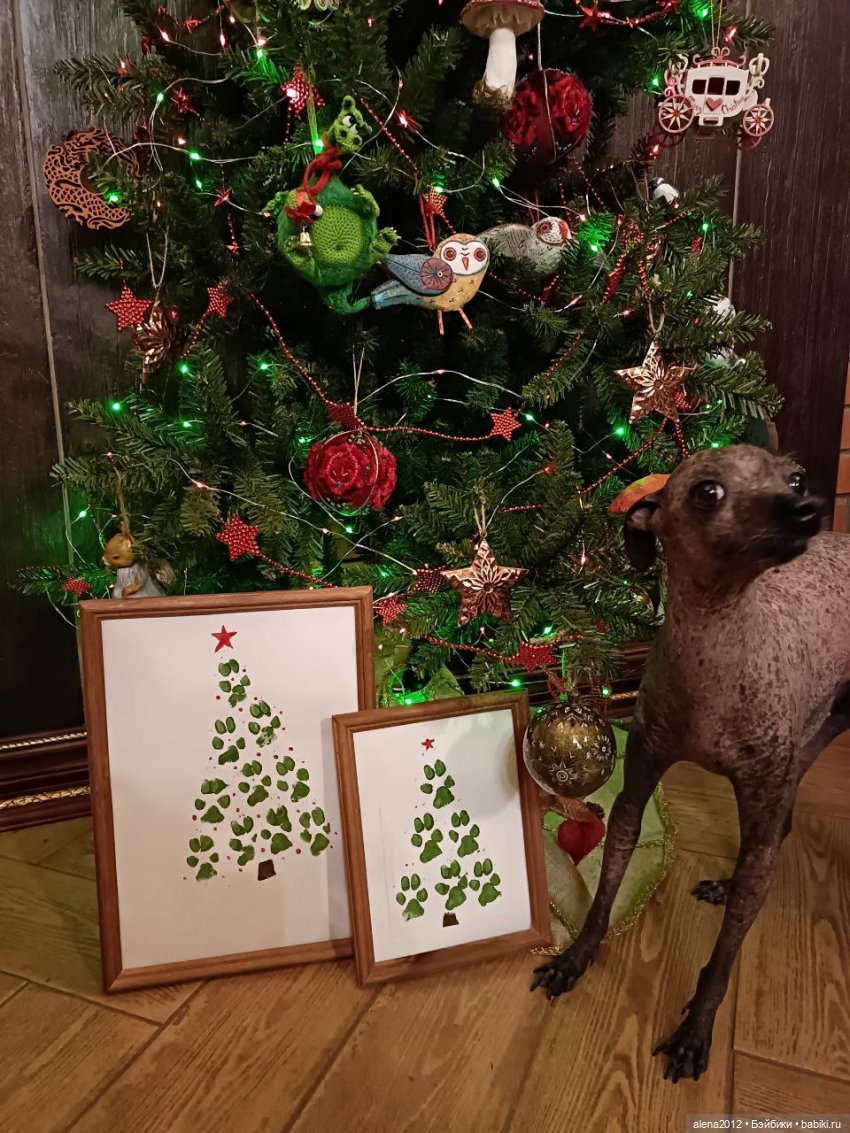 Ёлка 2023, а сколько можно держать праздник в доме (фото 5)