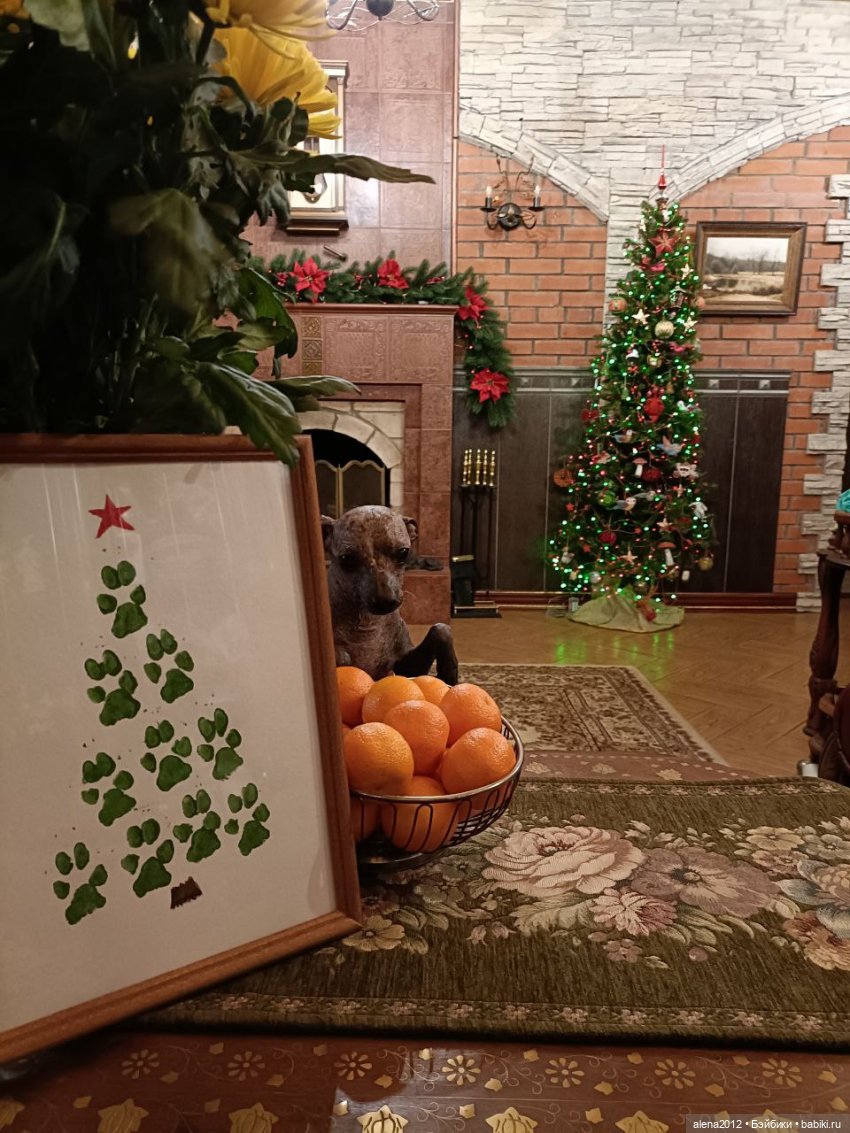 Ёлка 2023, а сколько можно держать праздник в доме (фото 3)