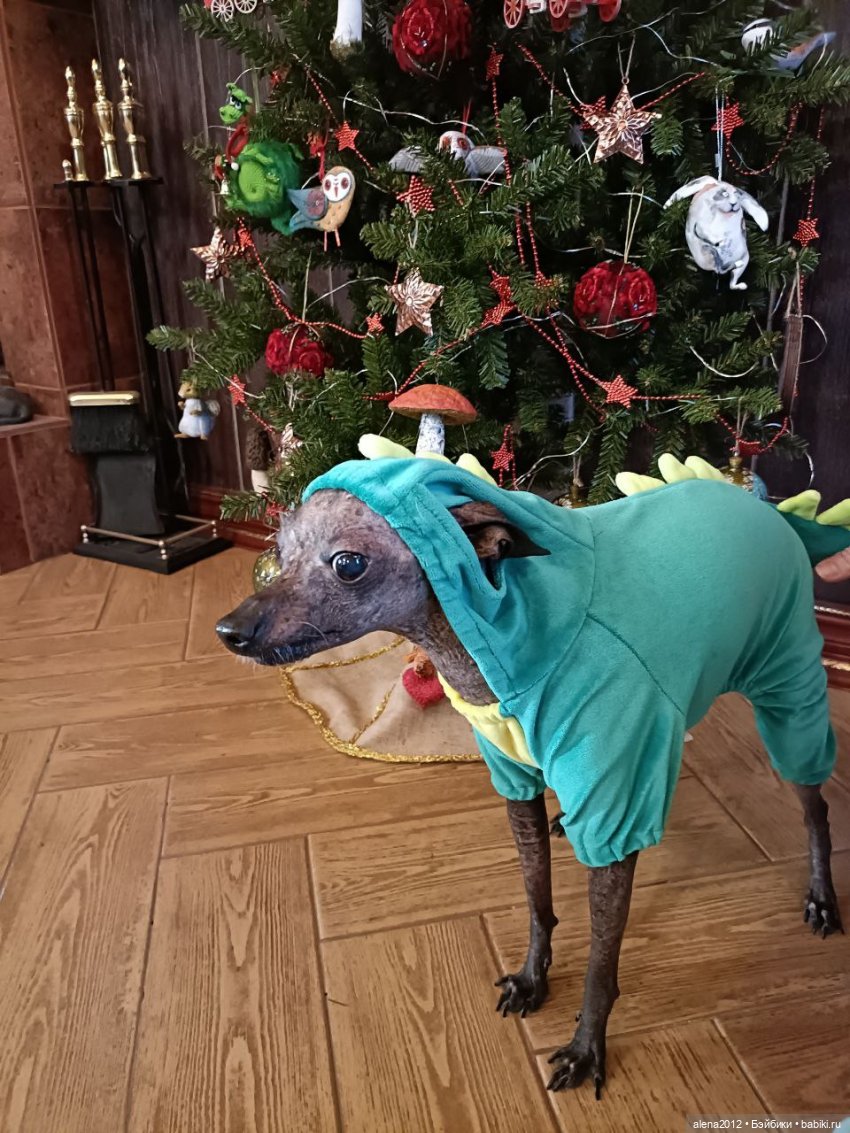 Ёлка 2023, а сколько можно держать праздник в доме (фото 2)