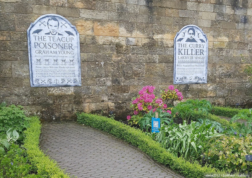 План идеального убийства. Сад ядовитых растений герцогини Нортумберлнедской (фото 3)