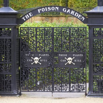 План идеального убийства. Сад ядовитых растений герцогини Нортумберлнедской