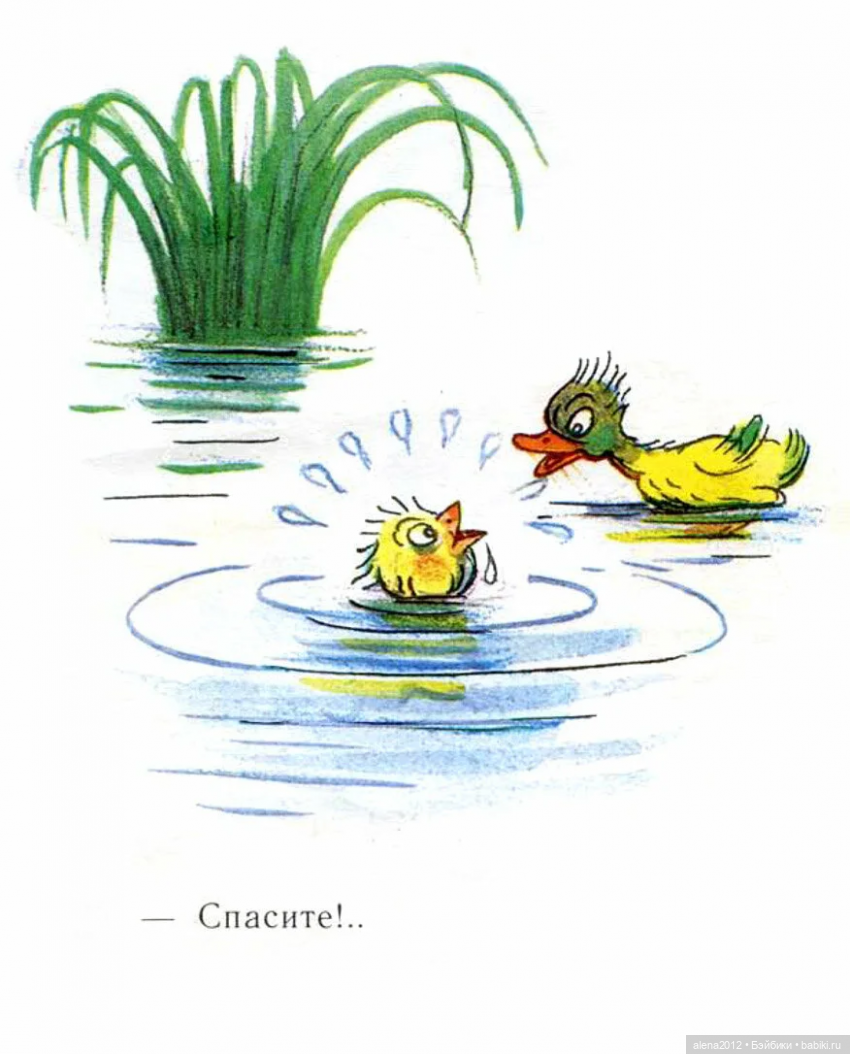 Владимир Сутеев. Самая красивая сказка - история любви