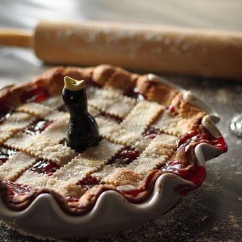 Про птицу для пирога и история старинного  «blackbird pie» – «дроздового пирога»  С рецептом!