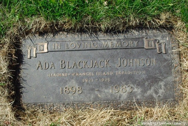 Северный робинзон - 703 дня посреди Арктики, удивительная история маленькой женщины (фото 3)