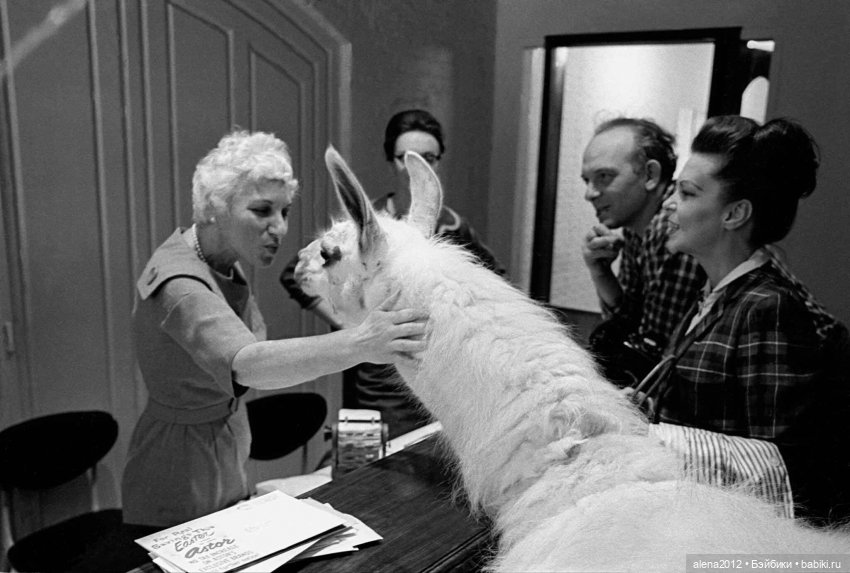 Черно- белое от Франка Хорвата (Frank Horvat)