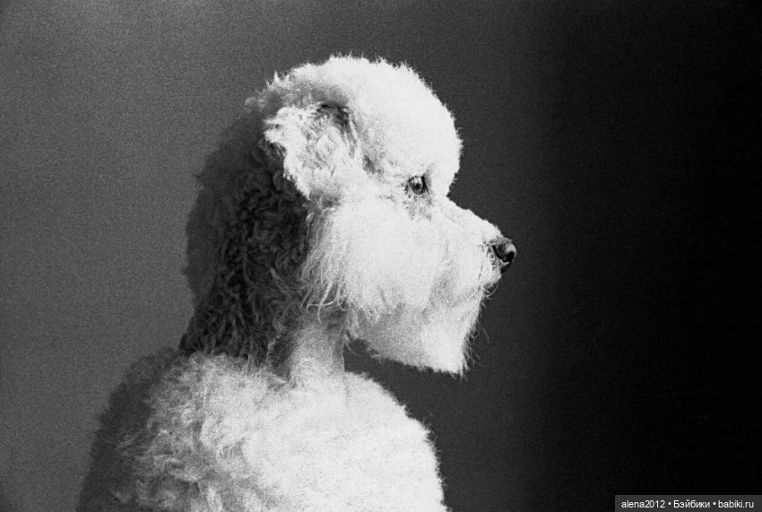 Черно- белое от Франка Хорвата (Frank Horvat)