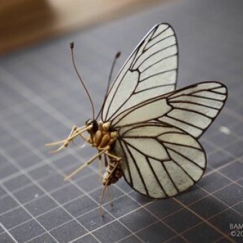 Скульптуры из бамбука Noriyuki Saitoh.