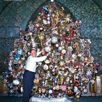 Чудо- ёлка , или праздник навсегда!