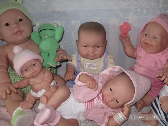 Пополнение в семействе беренджеров