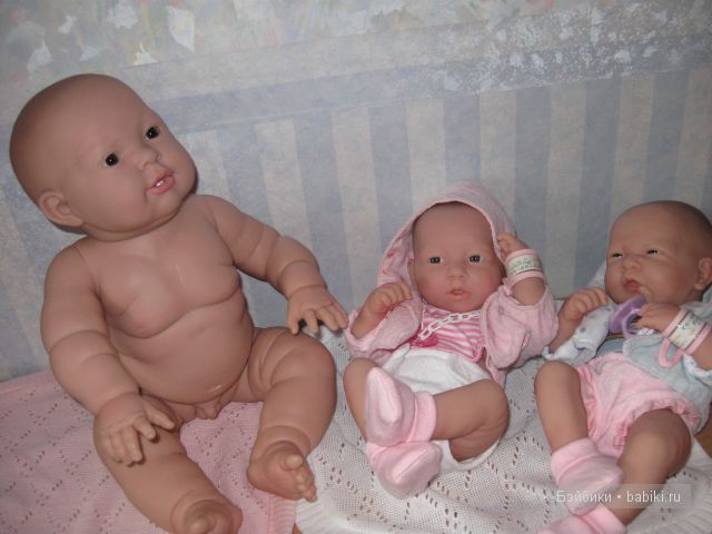 Пополнение в семействе беренджеров (фото 9)