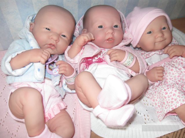 Пополнение в семействе беренджеров (фото 6)