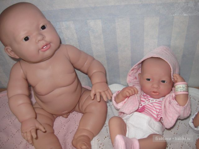 Пополнение в семействе беренджеров (фото 8)