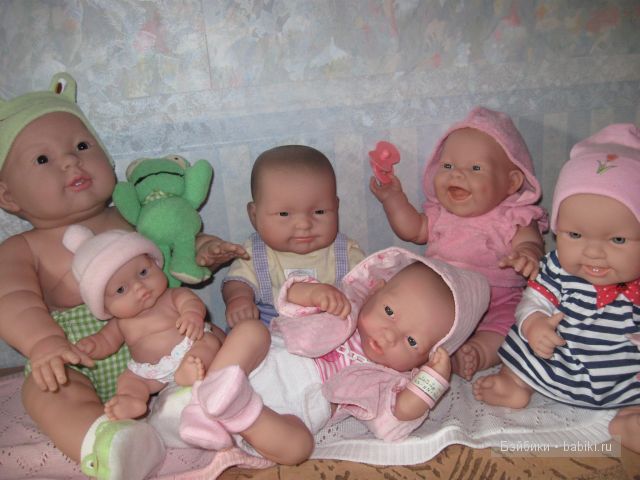 Пополнение в семействе беренджеров