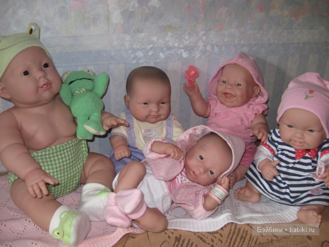 Пополнение в семействе беренджеров