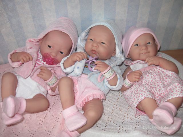 Пополнение в семействе беренджеров (фото 2)