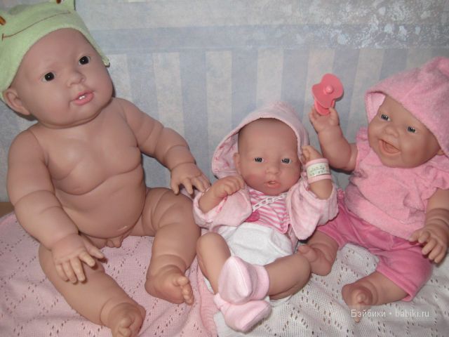 Пополнение в семействе беренджеров