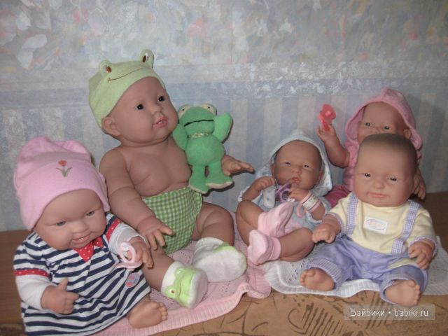 Пополнение в семействе беренджеров