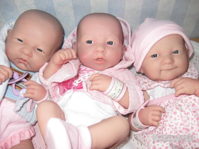 Пополнение в семействе беренджеров (фото 3)