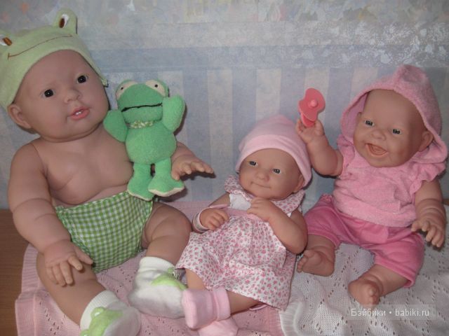 Пополнение в семействе беренджеров