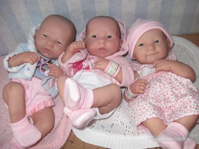 Пополнение в семействе беренджеров (фото 5)