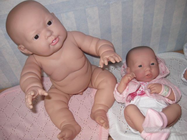 Пополнение в семействе беренджеров (фото 7)