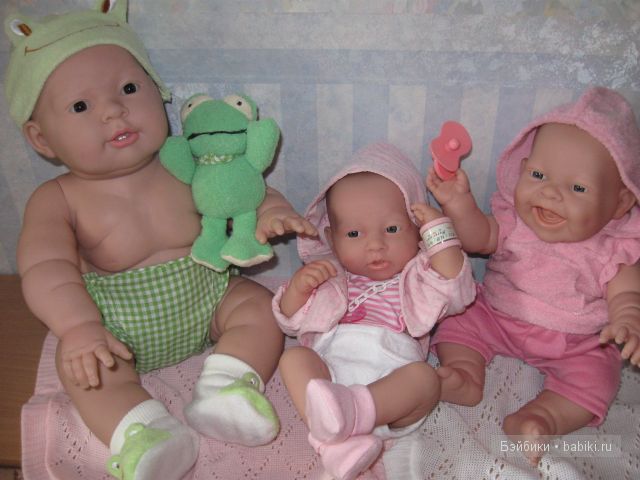 Пополнение в семействе беренджеров