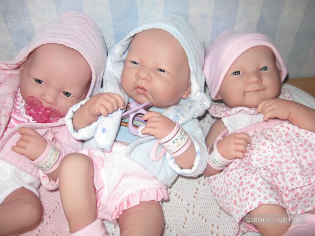 Пополнение в семействе беренджеров