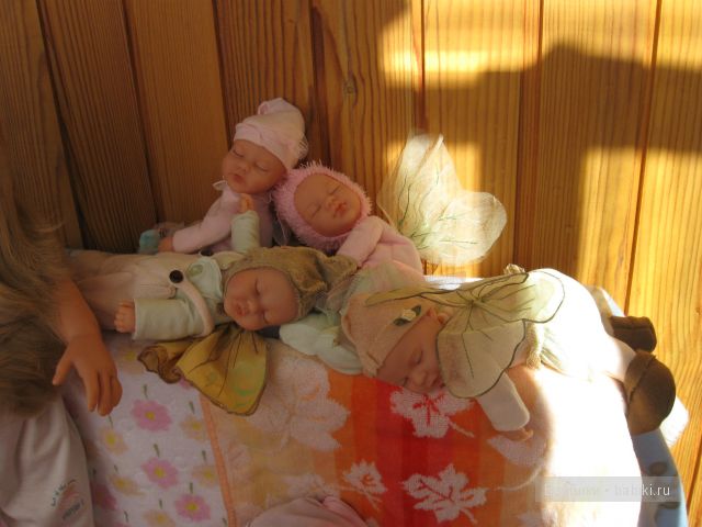 Сонное царство