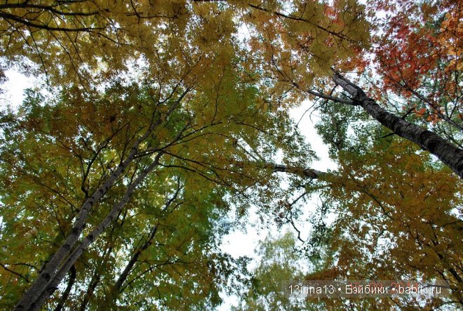 Адорочка с забавными хвостиками