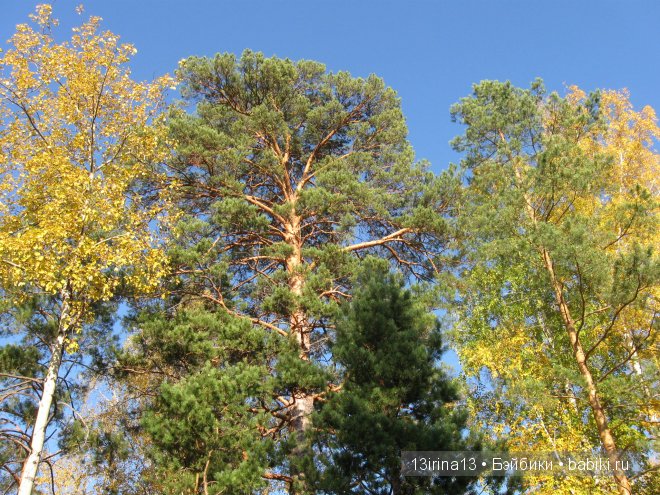 Урок осени, посвящённый ДНЮ УЧИТЕЛЯ
