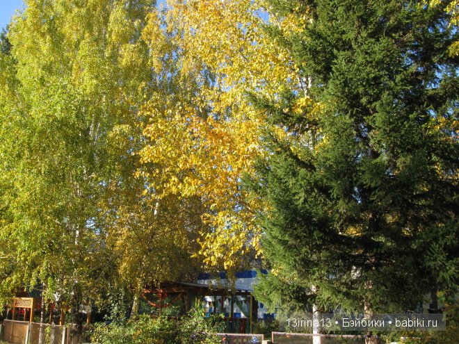 Урок осени, посвящённый ДНЮ УЧИТЕЛЯ