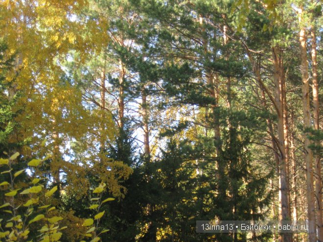 Урок осени, посвящённый ДНЮ УЧИТЕЛЯ (фото 8)