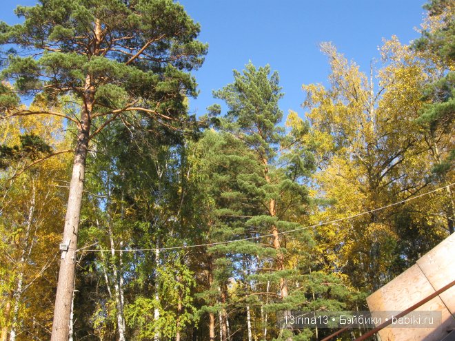 Урок осени, посвящённый ДНЮ УЧИТЕЛЯ