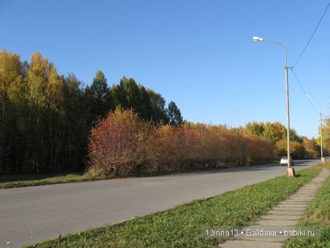 Урок осени, посвящённый ДНЮ УЧИТЕЛЯ