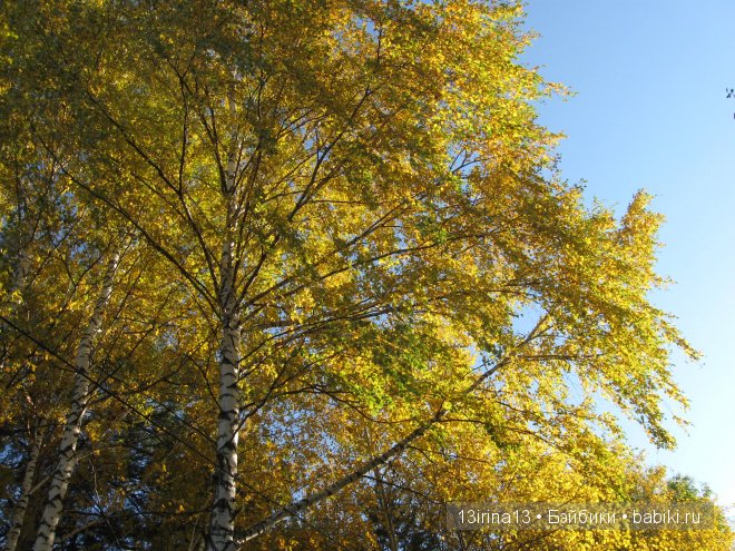 Урок осени, посвящённый ДНЮ УЧИТЕЛЯ
